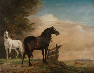 Twee Paarden in een Weide bij een Hek