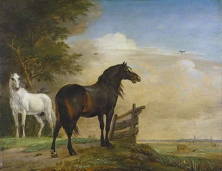 Twee paarden bij een poort in de weide