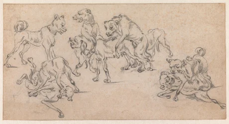 Vechtende en parende honden