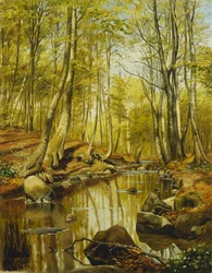 Een Bebost Rivierlandschap
