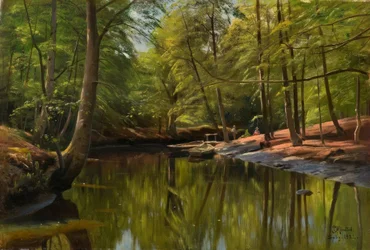 Zomerdag aan de bosbeek