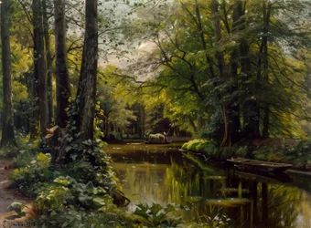 Zomer in het Spreewald