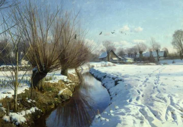 Zonnige winterdag bij de beek