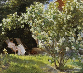Rozen. Marie Krøyer zittend in de ligstoel in de tuin bij het huis van mevrouw Bendsen