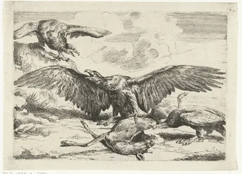 Drie arenden strijden om een dood hert (Diversi uccelli)