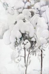 Met sneeuw bedekte dennenzaailingen