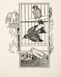 Een liefdadige kanarie, uit Honderd anekdotes van dieren, pub. 1924