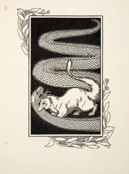 Slangenvernietigers, uit Honderd Anekdotes van Dieren, uitgegeven 1924
