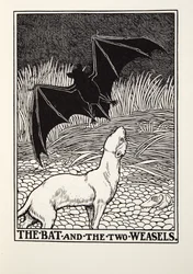 De vleermuis en de twee wezels, uit Fontaine Fabels, uitgegeven 1905