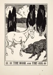 Het everzwijn en de ezel, uit Honderd fabels van Aesopus