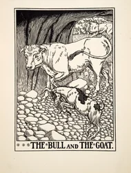 De Stier en de Geit, uit Honderd Fabels van Aesopus, uitgegeven 1903 (gravure)