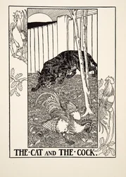 De kat en de haan, uit Honderd fabels van Aesopus, gepubliceerd in 1903