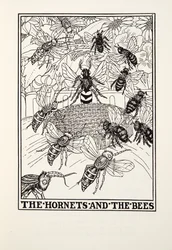 De Horzels en de Bijen, uit Fontaine Fabels, uitgegeven 1905 (gravure)