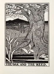 De eik en het riet, uit Fontaine Fabels, uitgegeven 1905