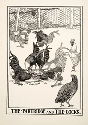 De patrijs en de hanen, uit Honderd fabels van Aesopus