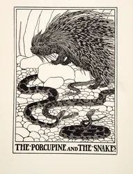 De Egel en de Slangen, uit Honderd Fabels van Aesopus, uitgegeven 1903 (gravure)