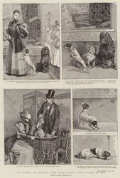 De ellende van winkelen met vrouwen vanuit het oogpunt van een hond