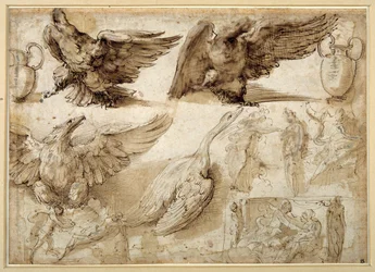 Studies van een adelaar, een gans, een kruik, een pot en menselijke figuren waaronder twee voor een Verkrachting van Lucretia