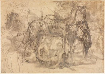 Schetsen van dieren (verso)