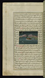 Een gans en een weerspiegeling van de maan in het water uit Lichten van Canopus