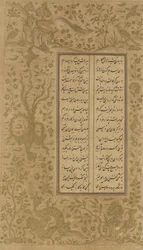 Druivenrank en vogelontwerp, folio uit Yusuf u-Zulaikha door Jami (gest. 1492) Qazvin, Iran, Safavidische dynastie, 1557