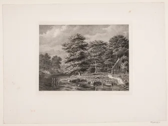 Rivier tussen beboste oevers