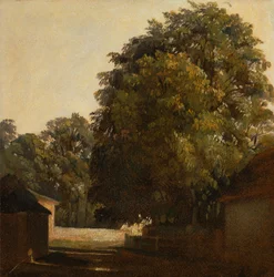 Landschap met kastanjeboom