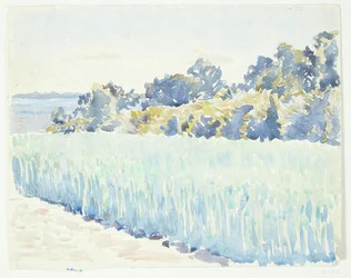 Fyns landschap. Korenveld bij een bos