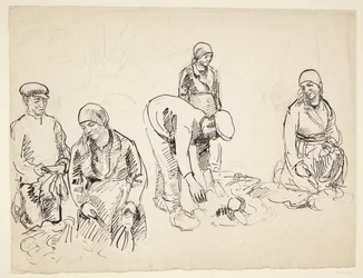 Bietenrooiers. Studieblad