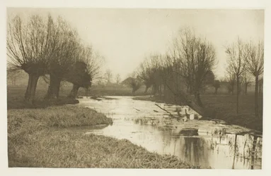 Een achterwater aan de Lea
