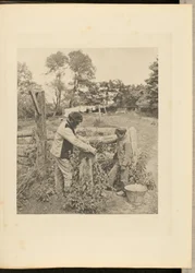 Bij de Grindstone - een boerenerf in Suffolk