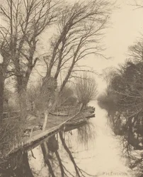 Het eiland van Crusoë - Granta