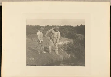 PalingPlukken in Suffolk Waters