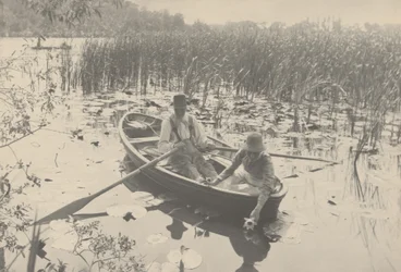 Waterlelies verzamelen,1886 (foto)