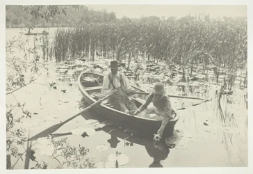 Waterlelies verzamelen
