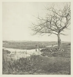 Bladloze Maart (Suffolk)