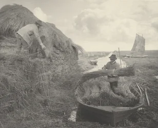 Het riet kappen,1886 (foto)