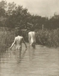 Water-Babies