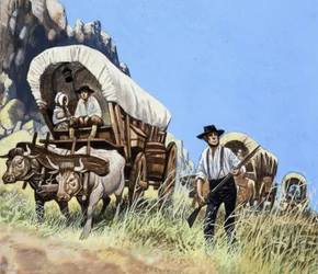 De Overland Stage: Outlaws en Indianen