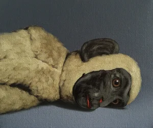 Aap Stilleven