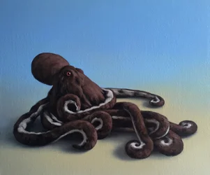Octopus, 2016