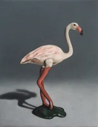 Roze flamingo