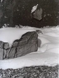 Vintage zwart-wit foto nr. 3, 1985