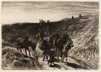 Een Burro-trein, New Mexico