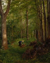 Oude populier, deel van Gulskov tuin