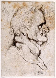 Galba, uit tien tekeningen van acht van de eerste twaalf Caesars, naar de medailles van Giovanni da Cavino