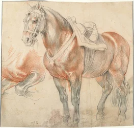 Gezadeld paard. Om 1615-18