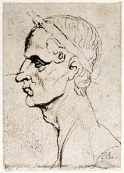Julius Caesar, uit tien tekeningen van acht van de eerste twaalf Caesars, naar de medailles van Giovanni da Cavino