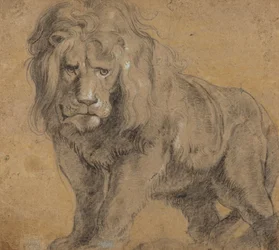 Leeuw, c.1612-13