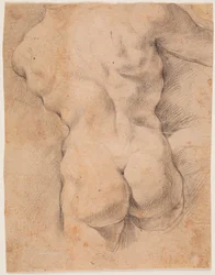 Mannelijke torso van achteren gezien